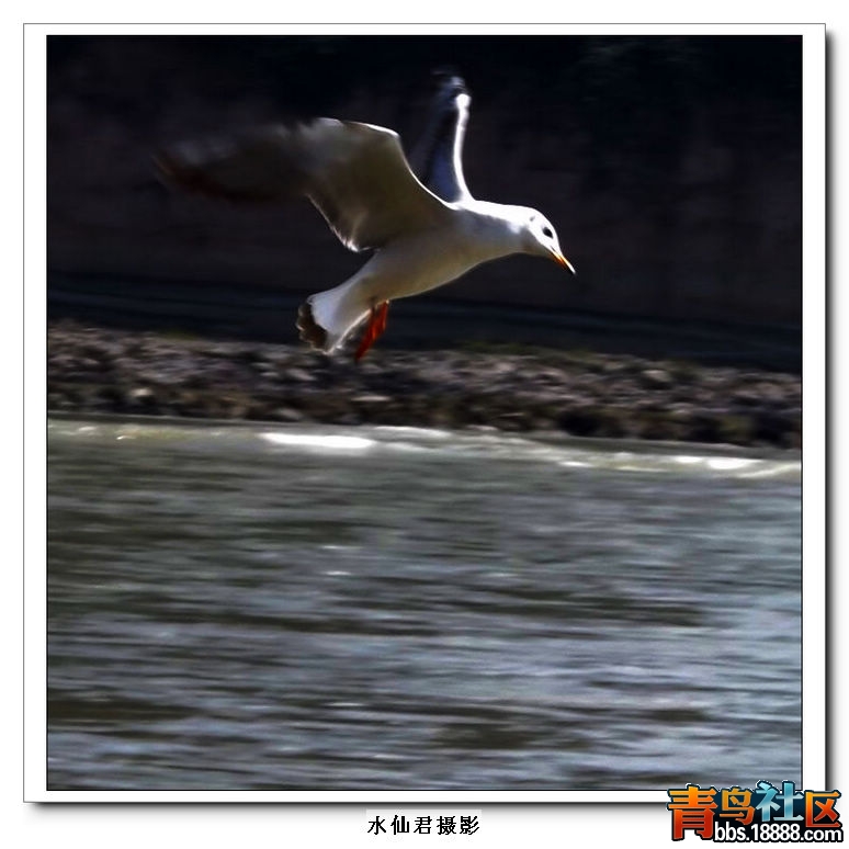DSCF0469.jpg