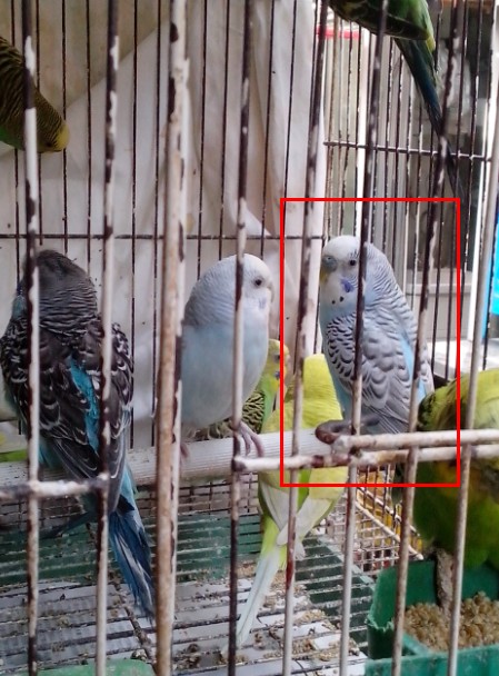 QQ截图20130215212238.jpg