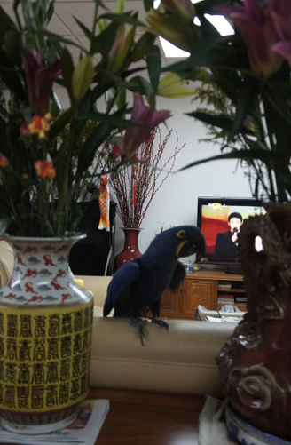 DSC01705.jpg