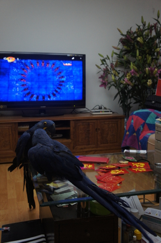 DSC01740.jpg