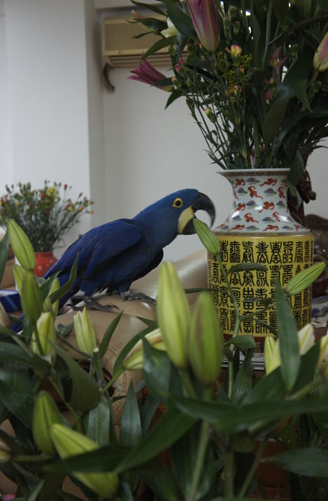 DSC01712.jpg