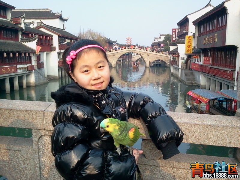 2013-02-10 15.33.51.jpg