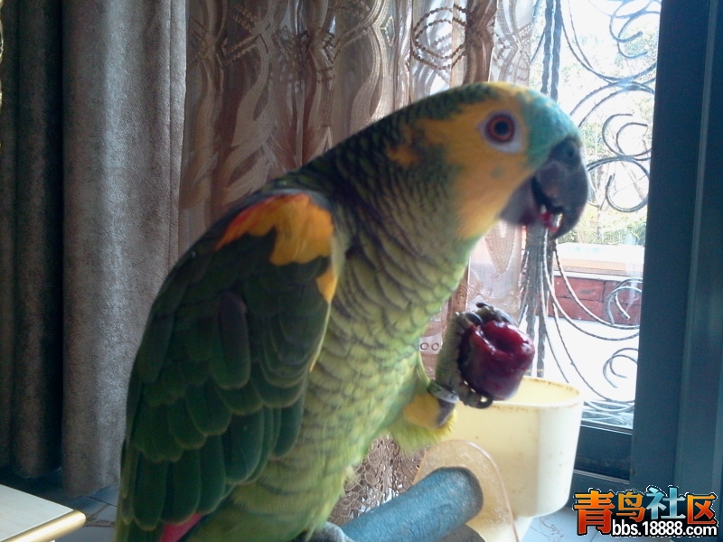 2013-02-09 15.32.34.jpg