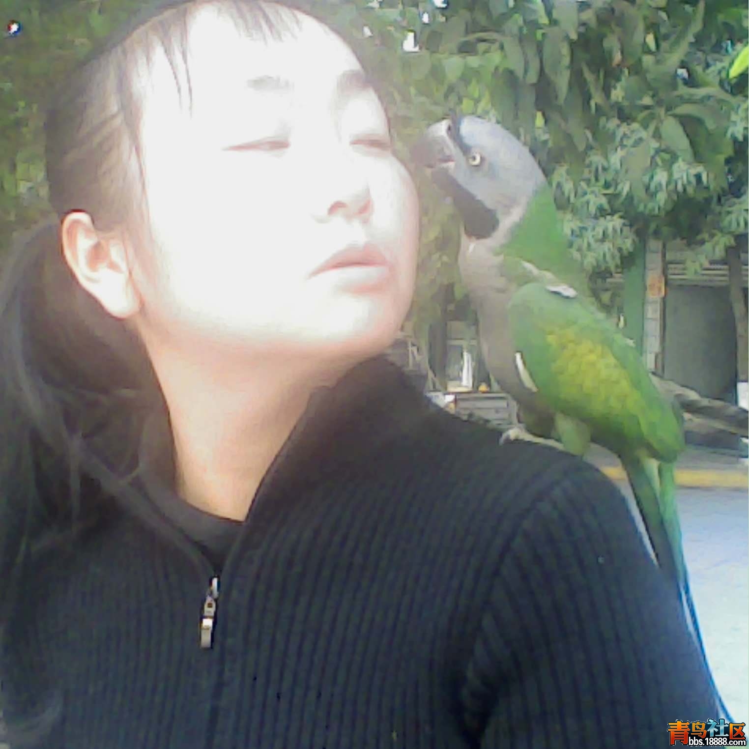 IMG_20130131_043650.jpg