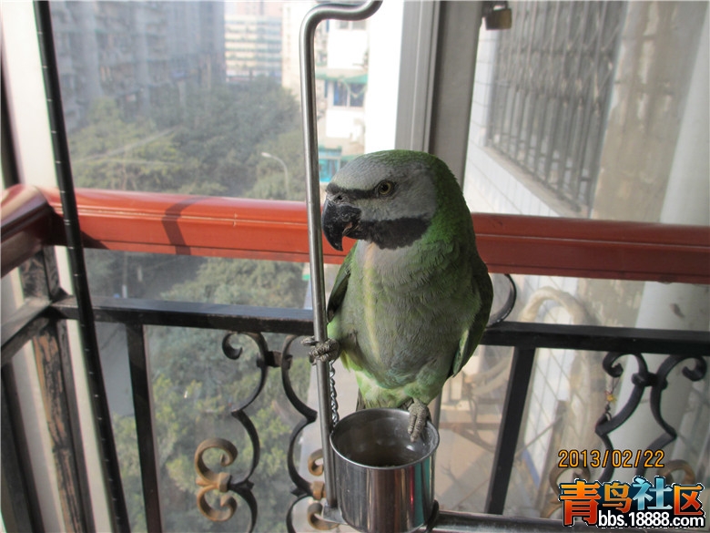 IMG_0055_副本.jpg