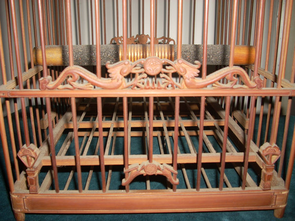 DSCN1828.JPG
