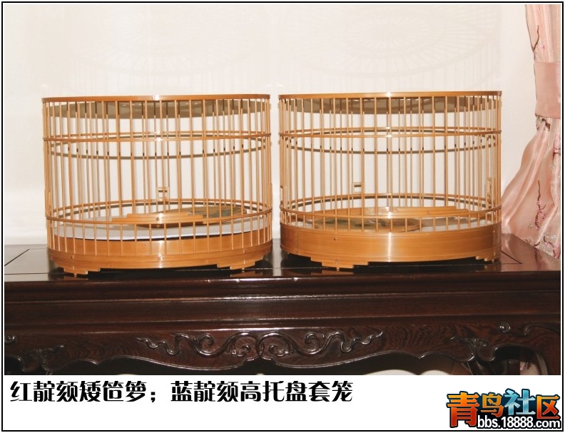 照片 003.jpg