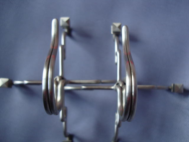 DSC08773.JPG