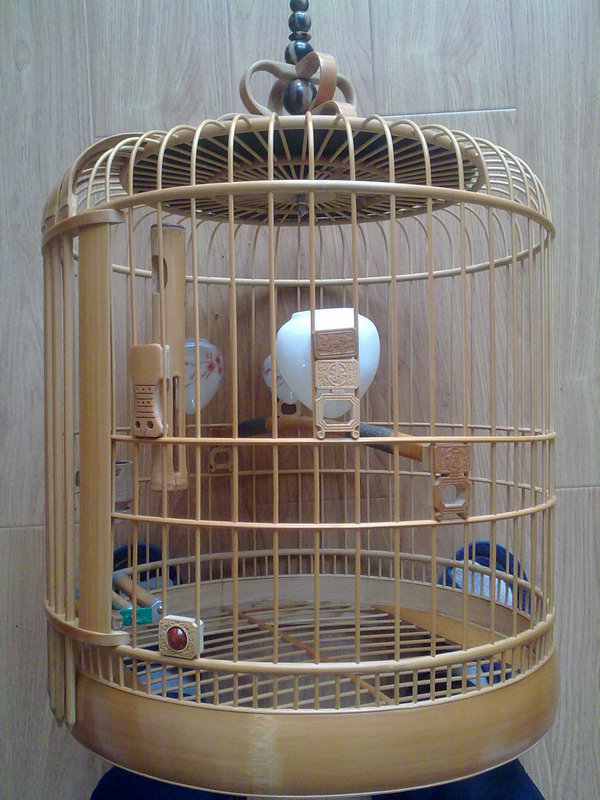 20130220304.jpg