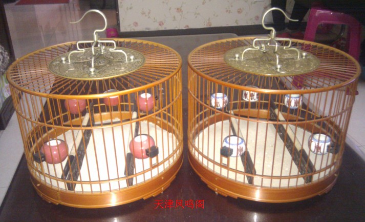 QQ截图20130203205004.jpg