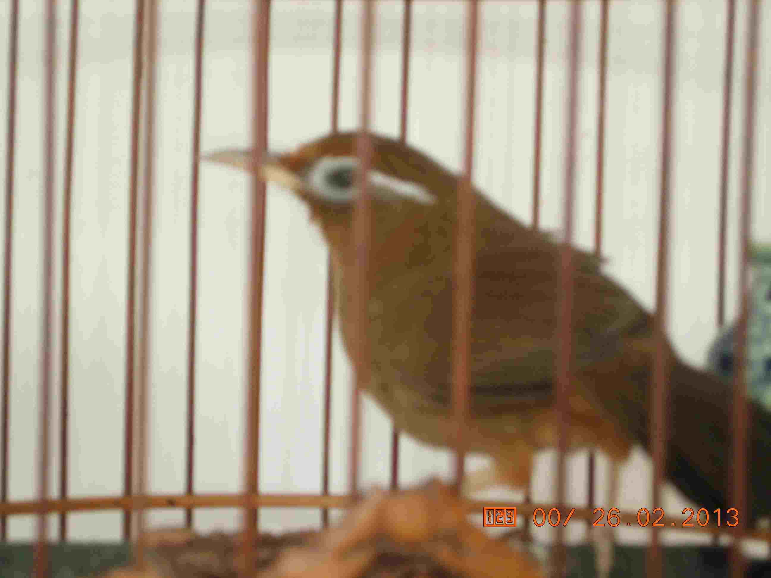 DSCN0113.jpg