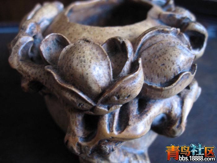 照片 077.jpg