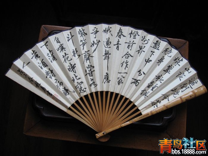 照片 098.jpg
