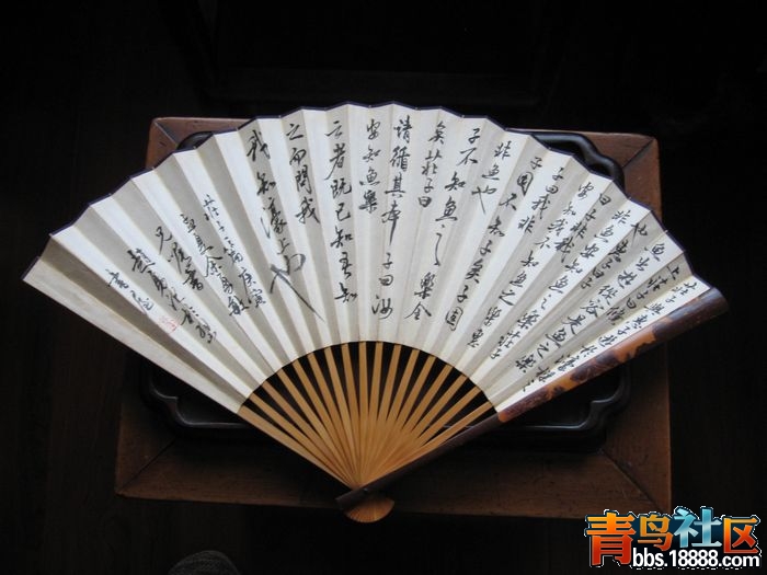 照片 094.jpg