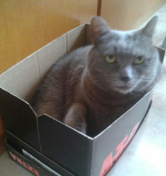 IMG-20130203-WA0000-1.jpg