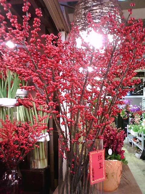 image20130202_151026_副本.jpg