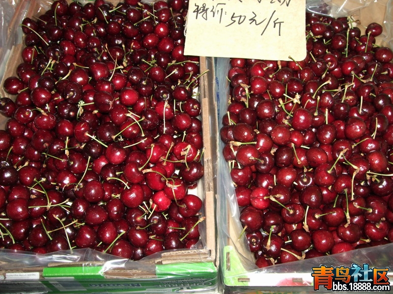 DSCF5097.jpg