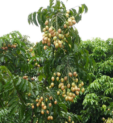 2010063038638121.jpg