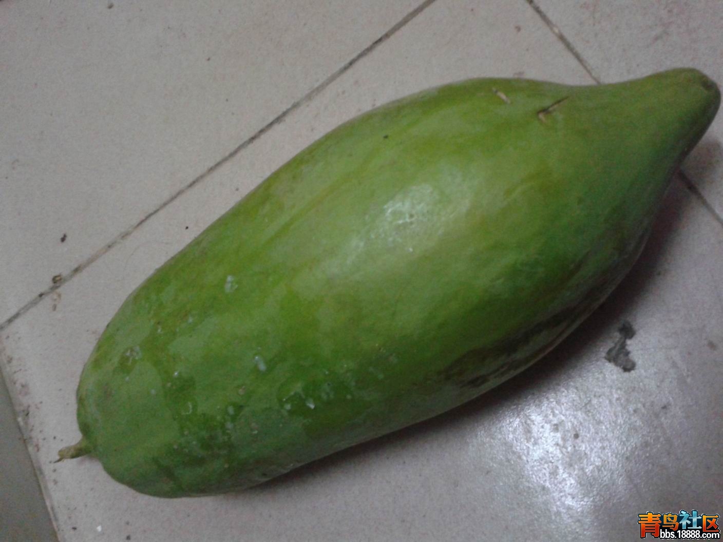 20130222_181350.jpg