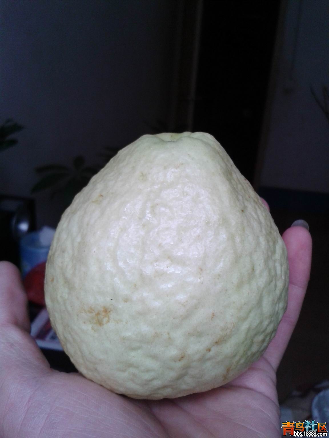 20130223_165256.jpg