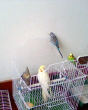 IMG0287A.jpg