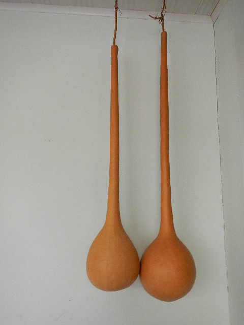 DSCN1662.JPG