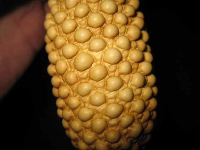 照片 88222.jpg