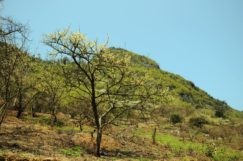 DSC_0046.JPG