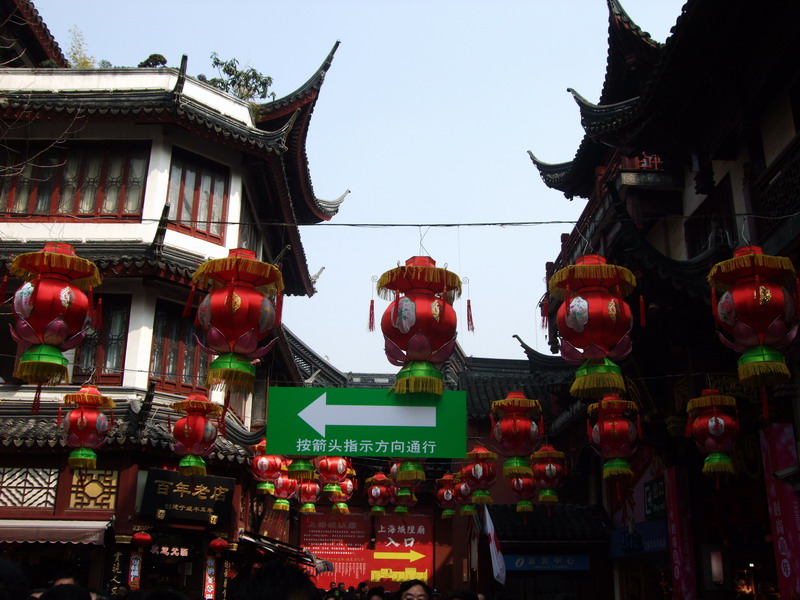 DSCF5355.jpg