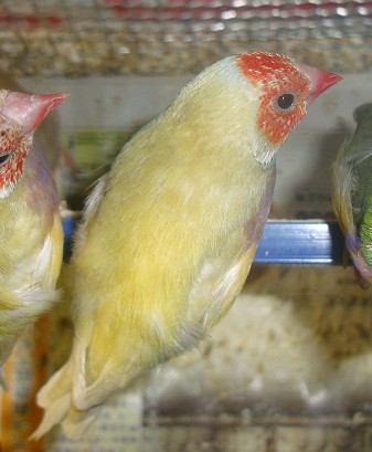 HOK[3I_W%A3JSI8SMXZ16%9.jpg
