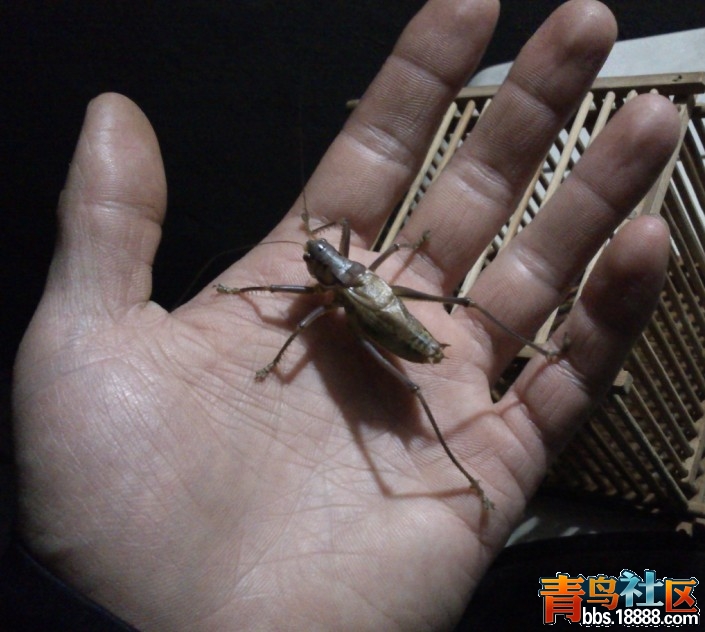 QQ截图20130224201044.jpg