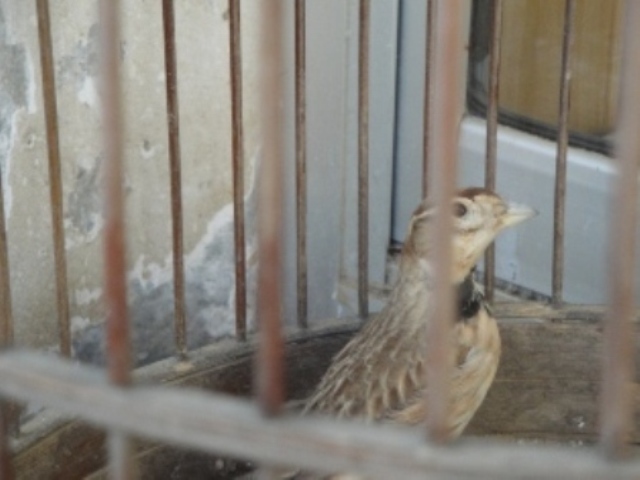 DSC00760.JPG