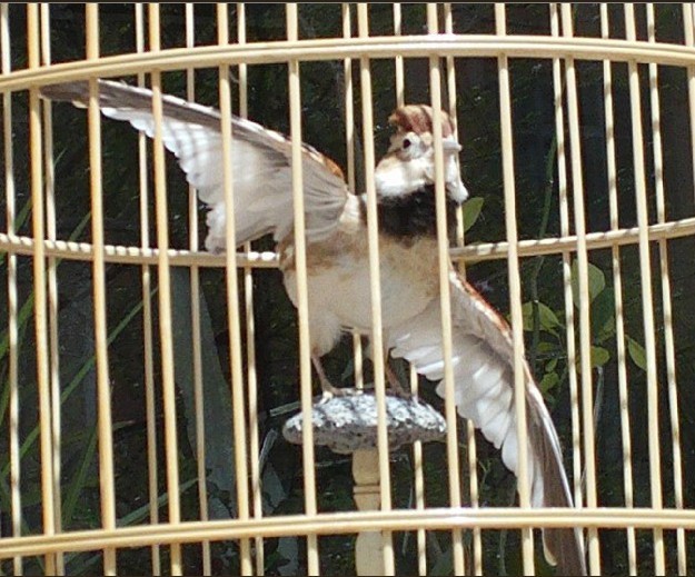 未命名1.jpg
