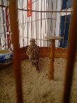 s150_s680_IMG_20130210_140743.jpg