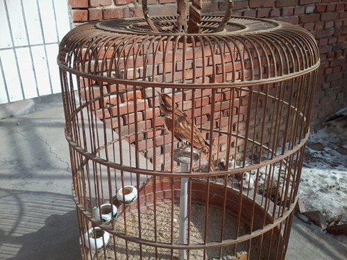 2013-02-12 14.57.49_副本.jpg