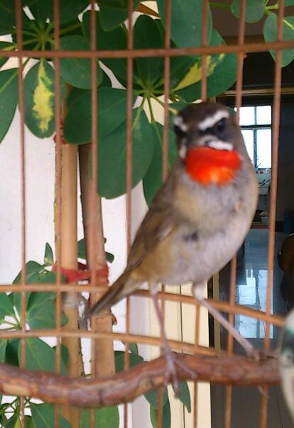 DSC_0006-1.jpg
