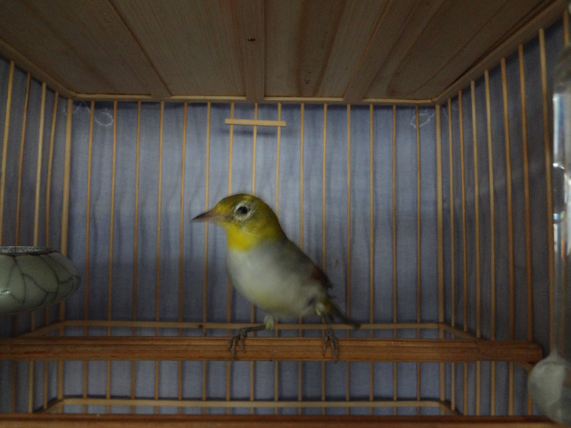 DSC00595_副本.jpg