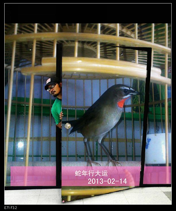 nEO_IMG_05_副本.jpg