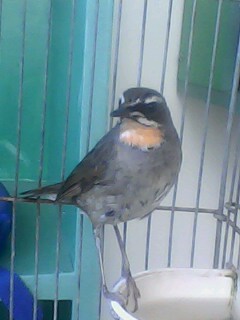 IMG0261A.jpg