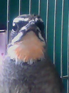 IMG0283A.jpg