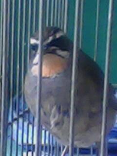 IMG0280A.jpg