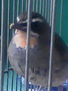 IMG0276A.jpg
