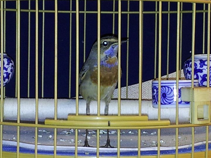 20121018.jpg