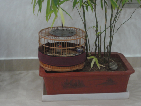 DSC00912_编辑.jpg