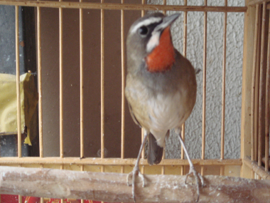 DSC07825.jpg