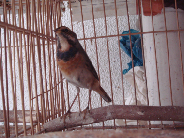 DSC07837.jpg