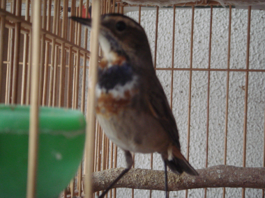 DSC07823.jpg