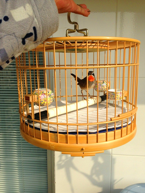小橘够精神吧.jpg