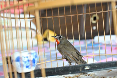 DSC_1067.JPG
