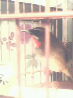 IMG0350A.jpg